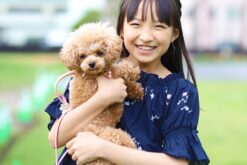 動物病院を成功に導くホームページ