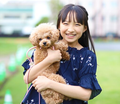 動物病院ホームページのひな型