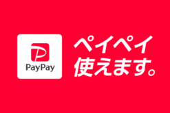 PayPay決済つきのネットショップ(WooCommerce)