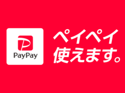 PayPay決済つきのネットショップ(WooCommerce)